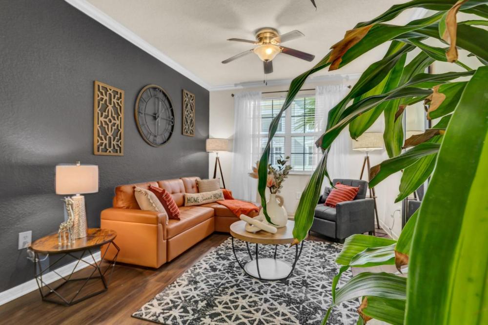 Apartment interior